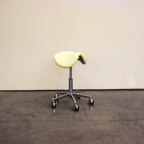 Gharieni Dental Type Chair with Curved Backrest
