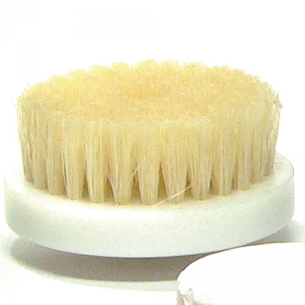 brush, large , 60mm (2.36 in)